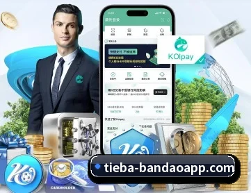 半岛体育 APP 深度功能（bandao）